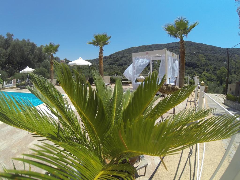 Ferienwohnung Golden Sun Parga Exterior foto